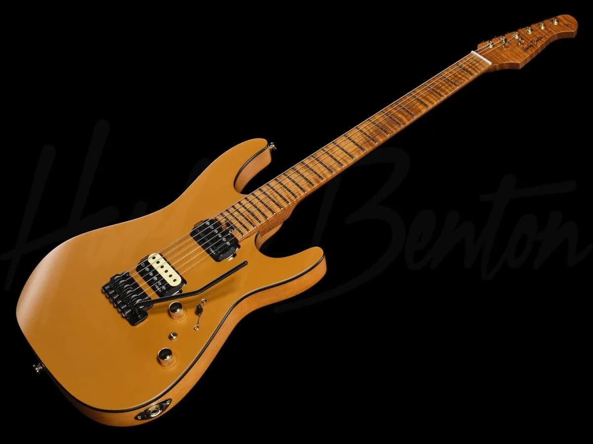 Harley Benton Fusion-IV HH MN SGD — photo 8