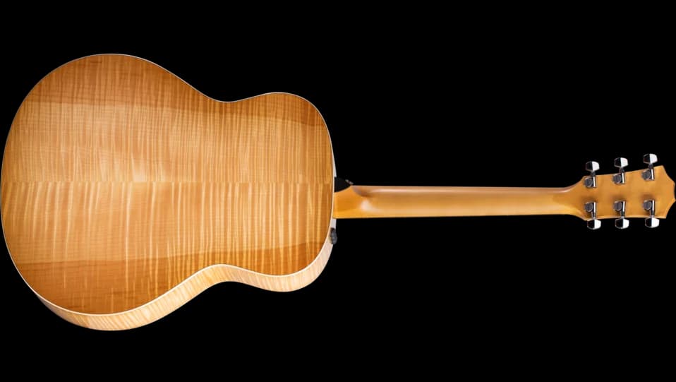 Taylor 618e — photo 2