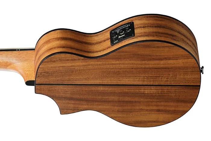 Ibanez EWP12EWB — photo 3