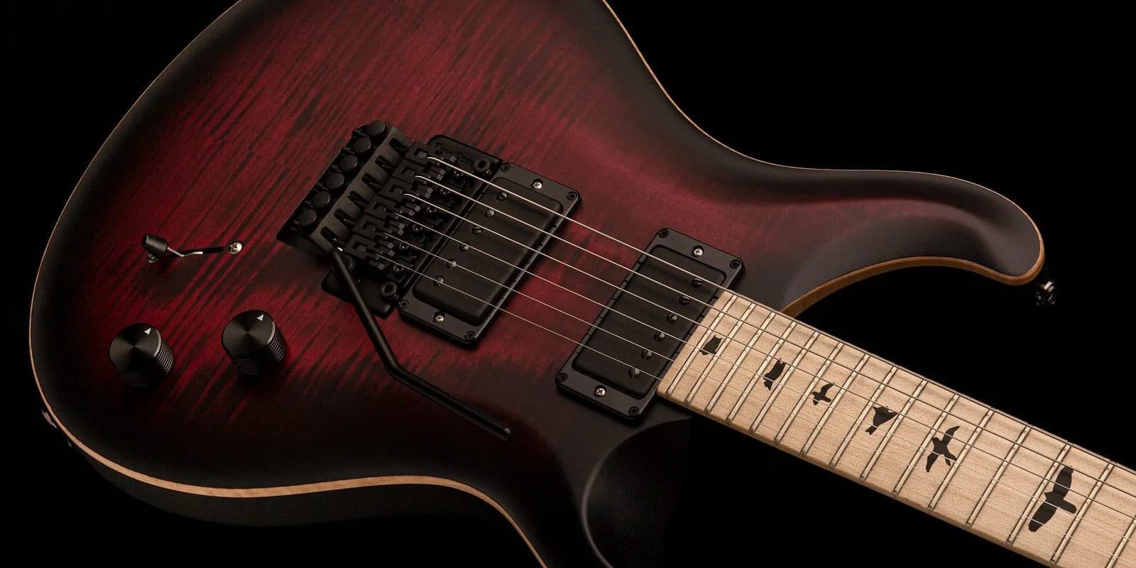 PRS DW CE 24 “Floyd”