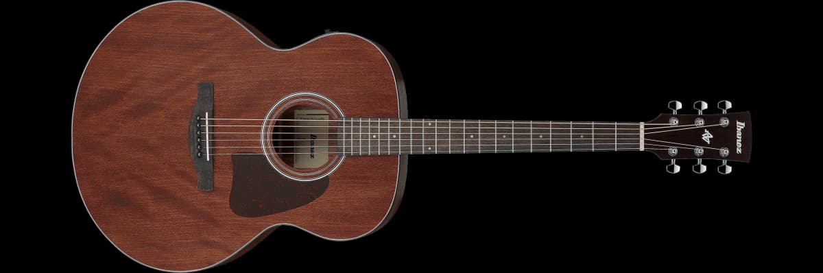 Ibanez AJ54E