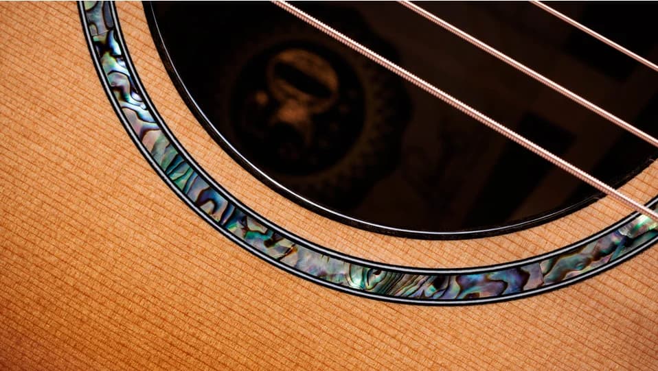 Taylor 50th Anniversary PS14ce LTD &amp; Circa 74 Amp — photo 8