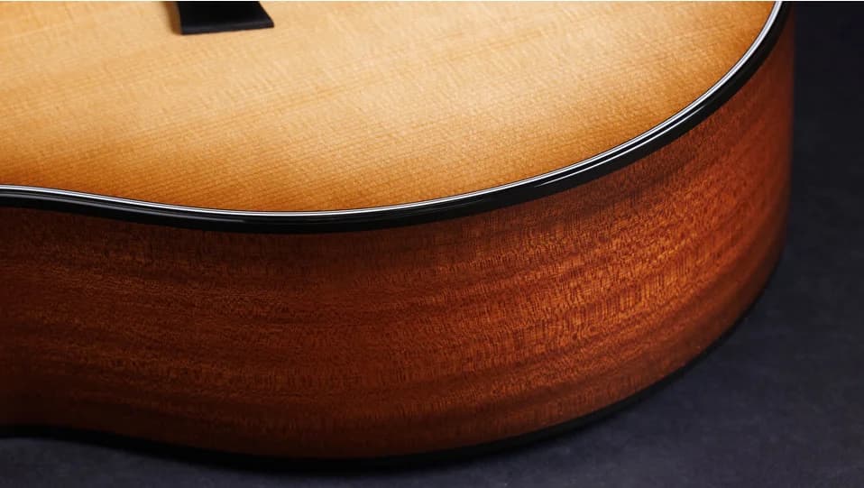 Taylor 50th Anniversary 314ce LTD — photo 8