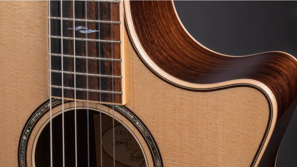 Taylor 814ce-N — photo 8
