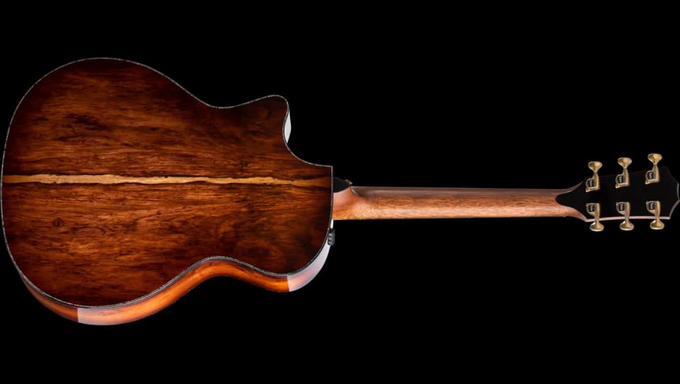Taylor PS14ce Honduran Rosewood — photo 2