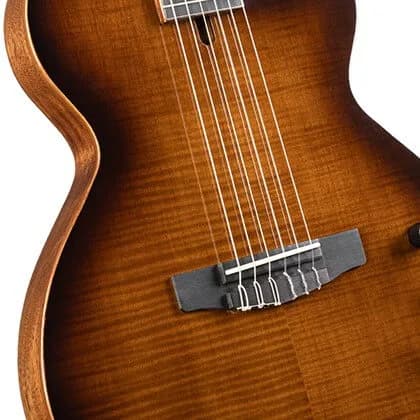 Cort Sunset Nylectric DLX — photo 3