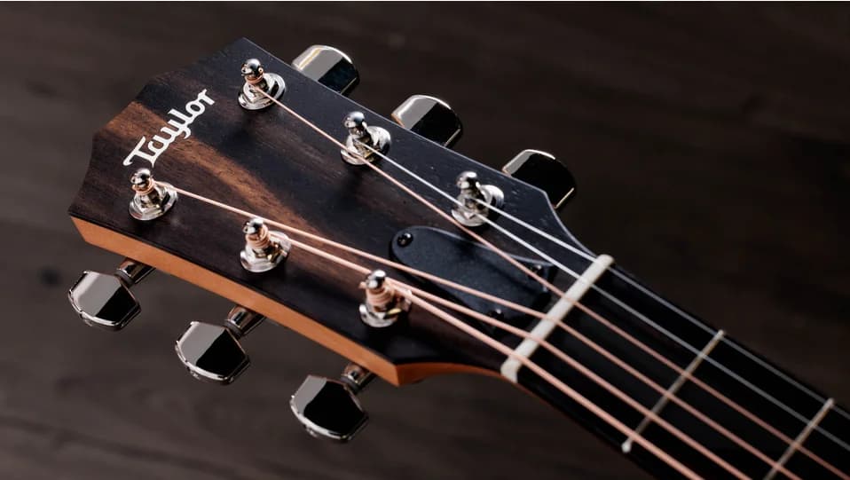 Taylor 214ce-K SB Plus — photo 8