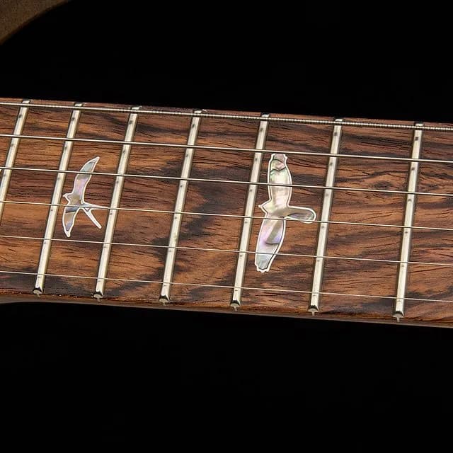 PRS 40th Anniversary Special Semi-Hollow Limited Edition — photo 7