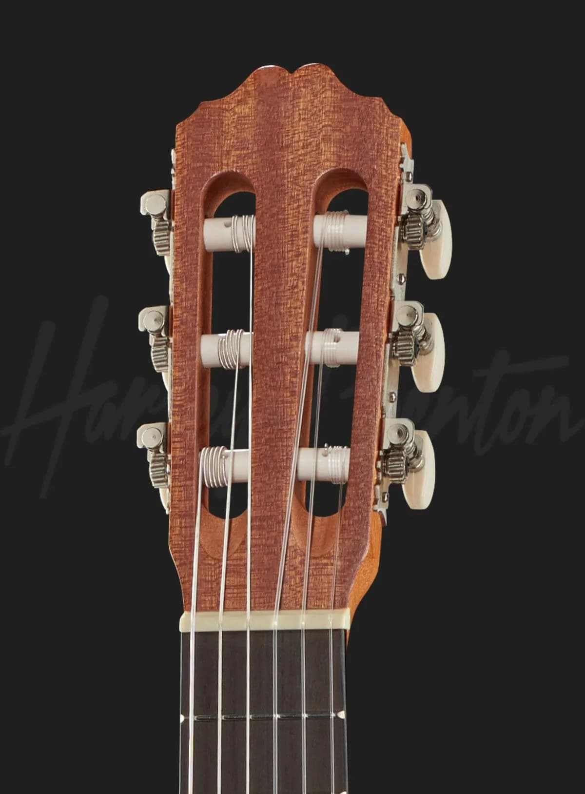 Harley Benton GL-2NT GuitarLele — photo 6