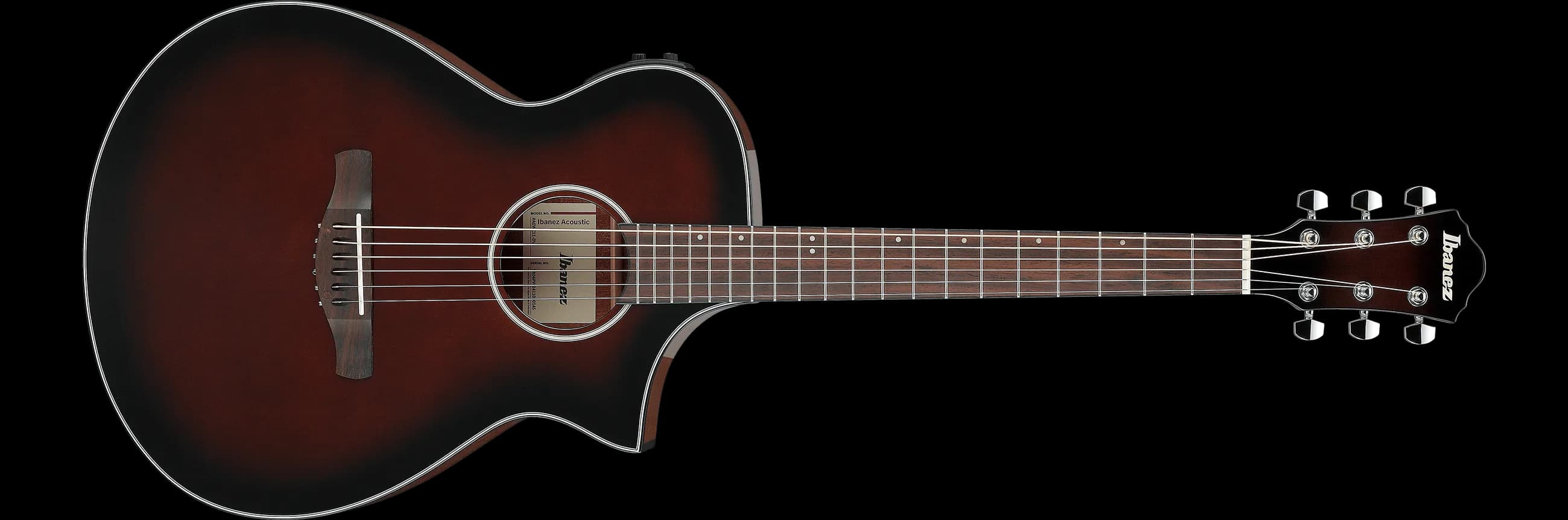 Ibanez AEWC11 — photo 2