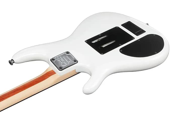 Ibanez JS2480 — photo 5