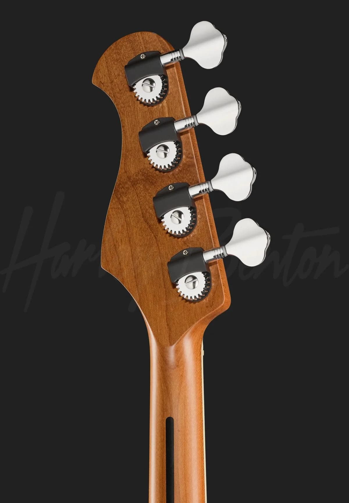 Harley Benton MV-4P Burgundy Mist — photo 7