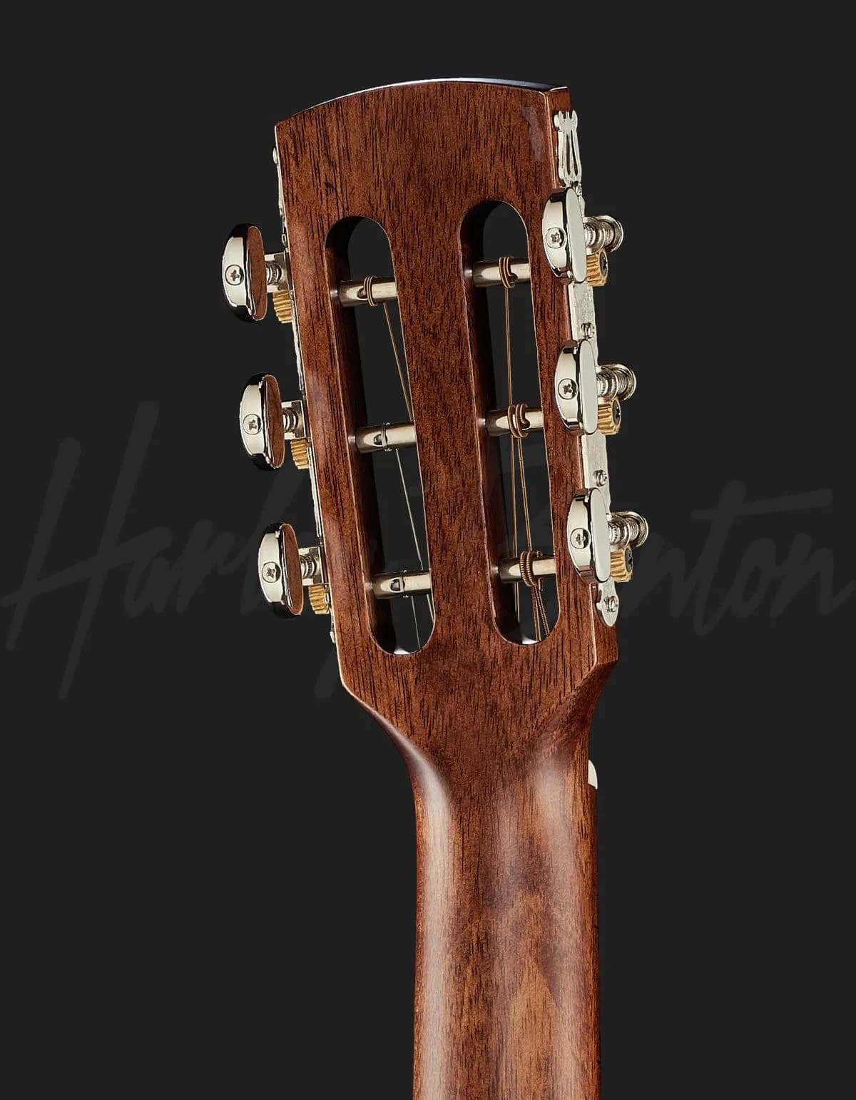 Harley Benton CLP-15ME — photo 7