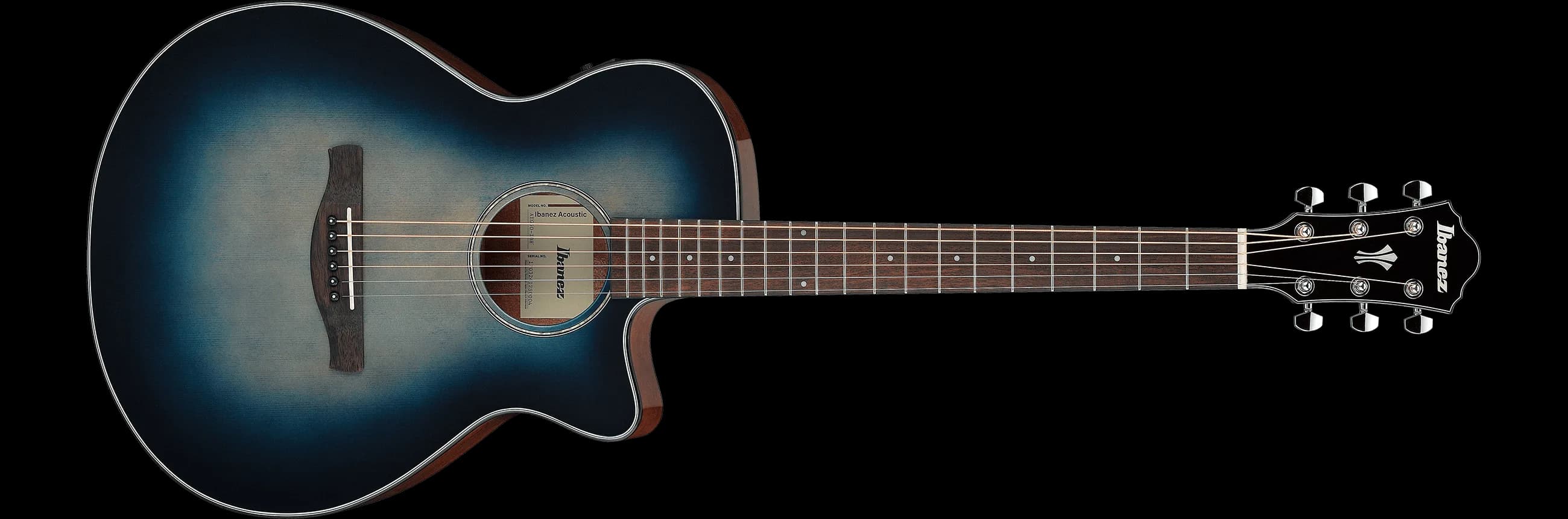 Ibanez AEG50