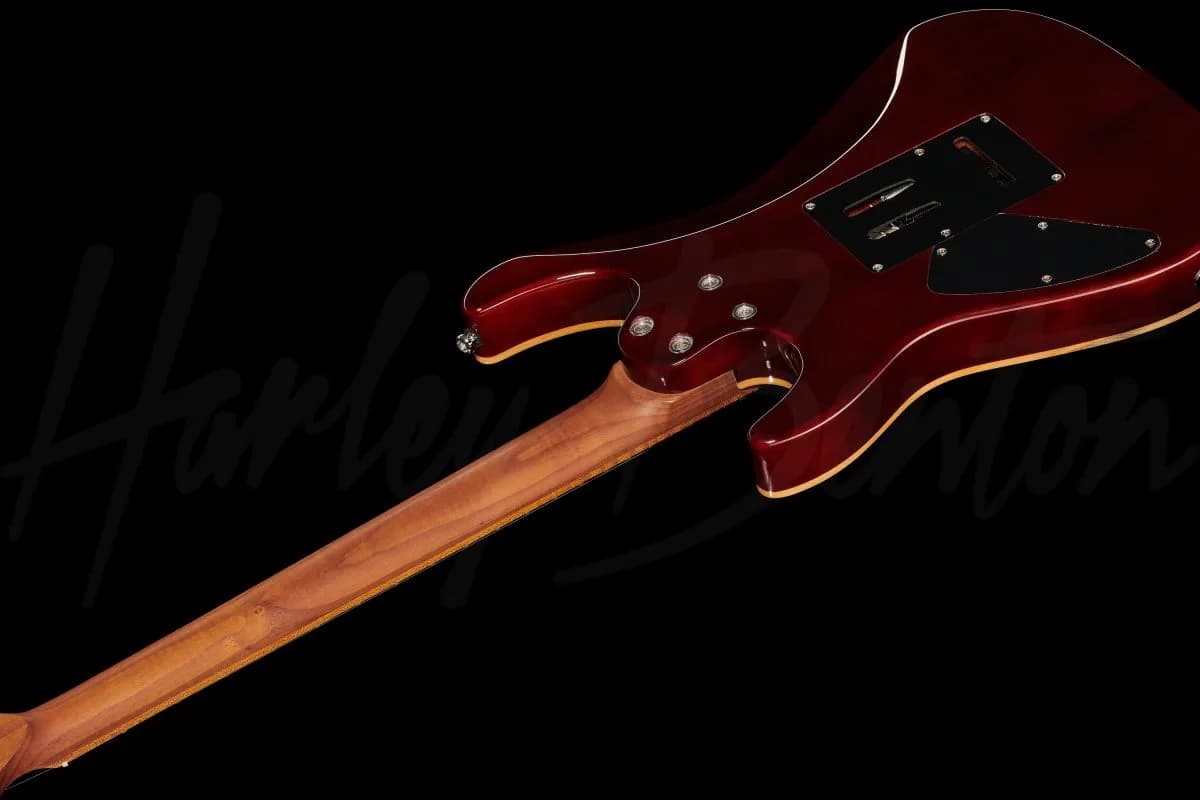 Harley Benton Fusion-III HSS Roasted FNT — photo 8