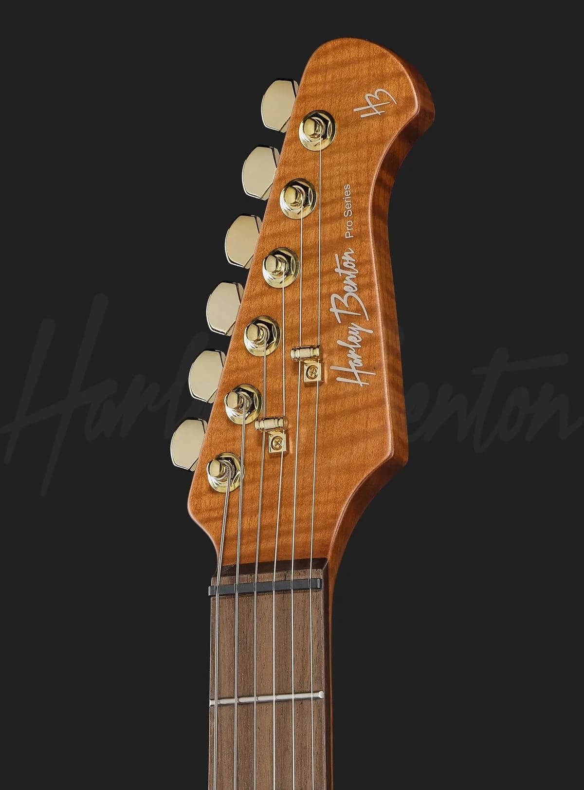 Harley Benton Fusion-IV HH RW FBB — photo 6