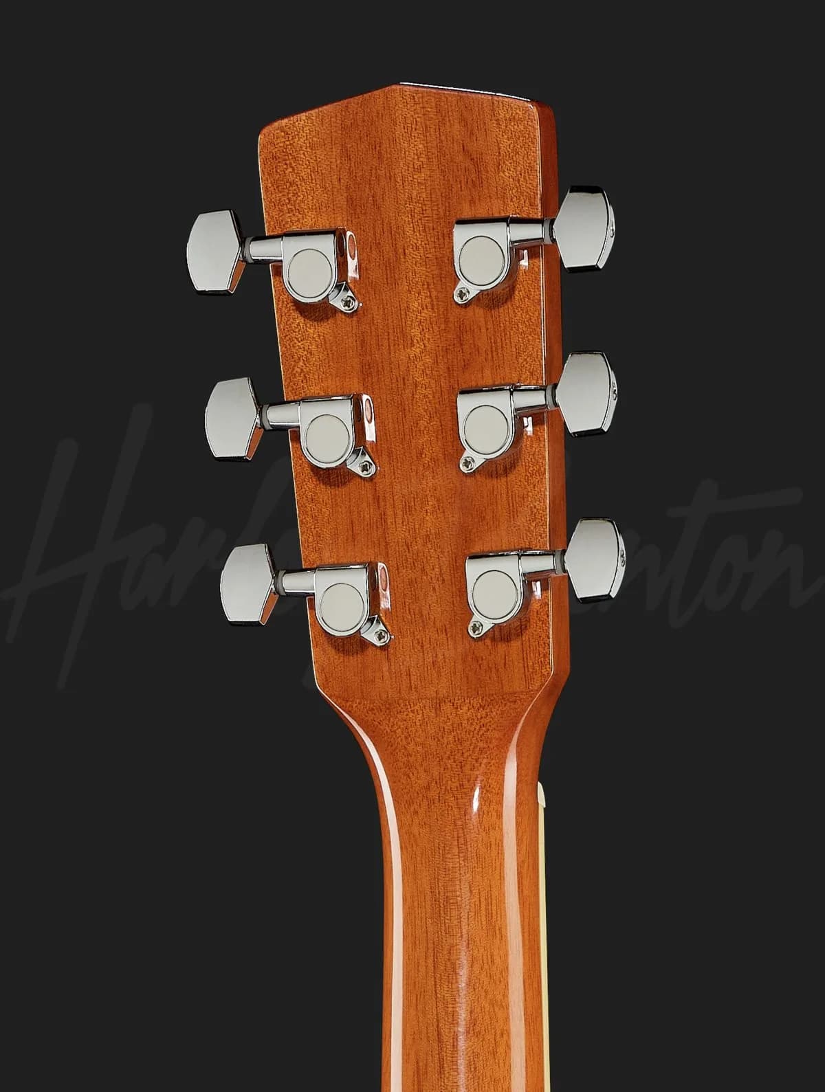 Harley Benton D-120 NT — photo 7