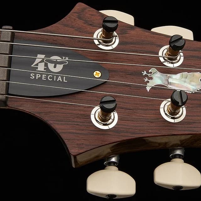 PRS 40th Anniversary Special Semi-Hollow Limited Edition