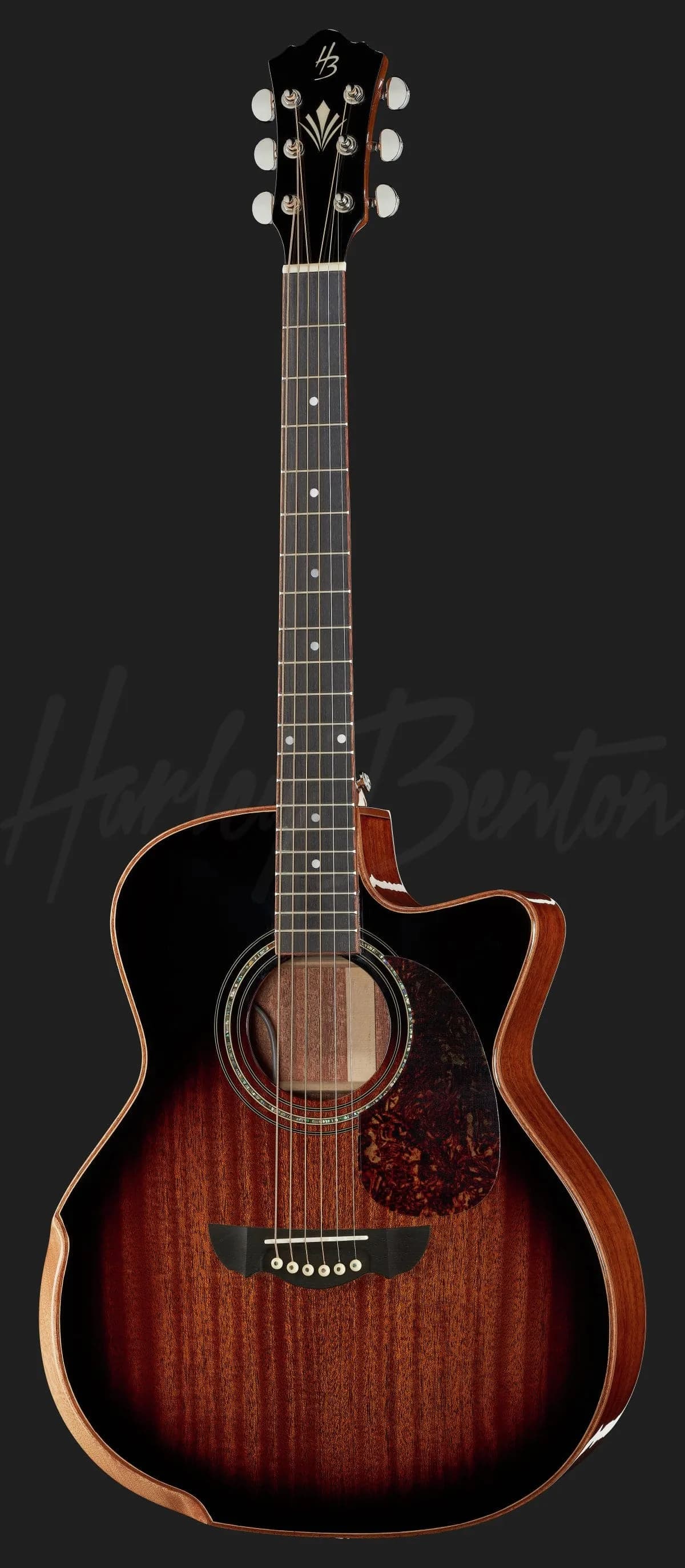 Harley Benton CLG-650SM-CE VS SolidWood — photo 2