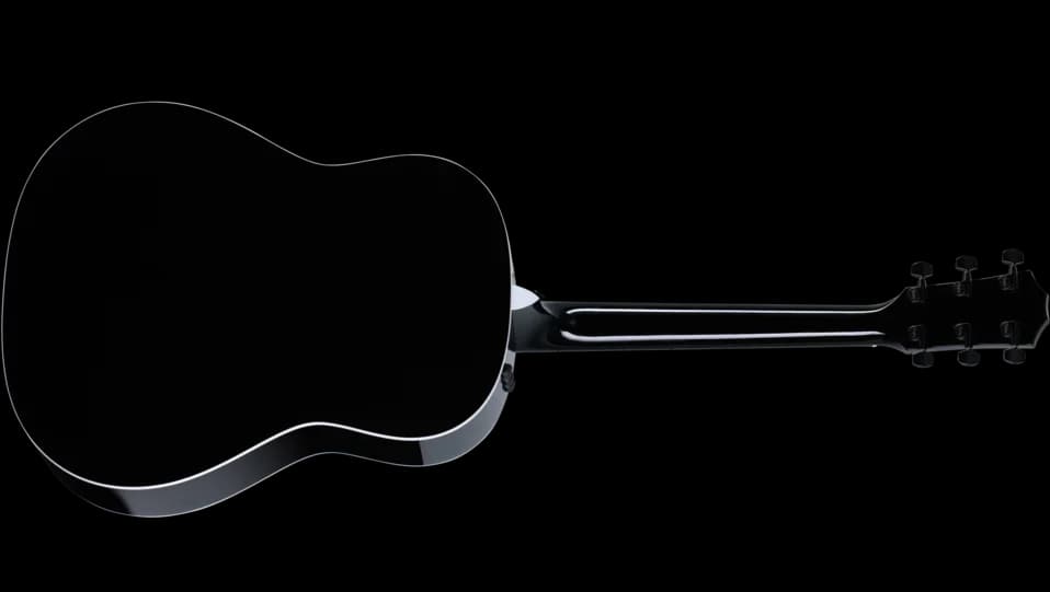 Taylor 217e-BLK Plus — photo 2