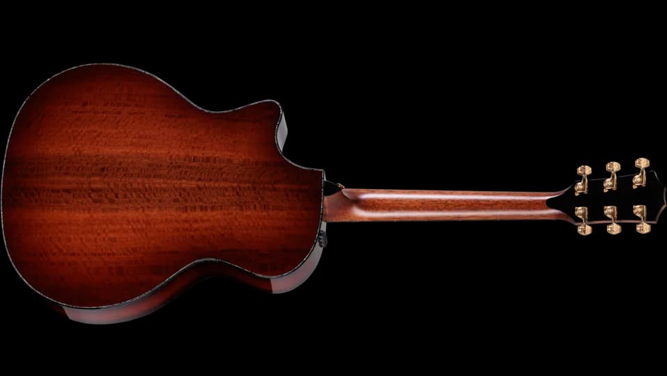 Taylor 50th Anniversary PS14ce LTD — photo 2
