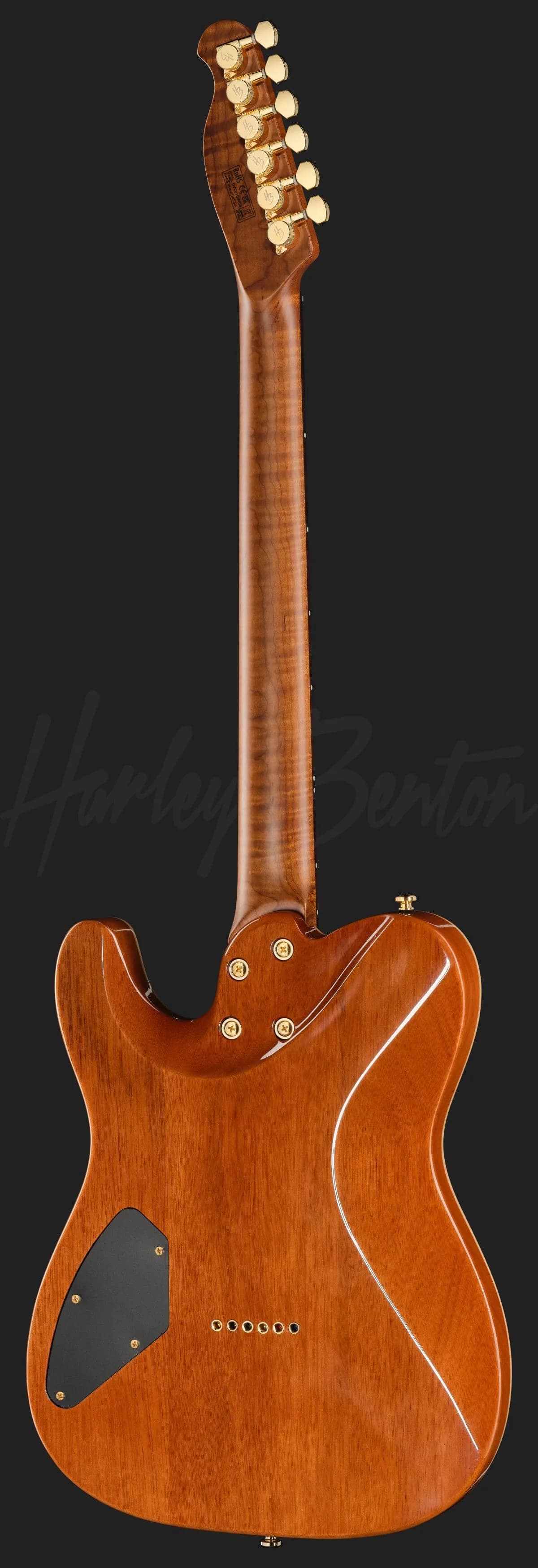 Harley Benton Fusion-T II HH RW HT FBB — photo 3
