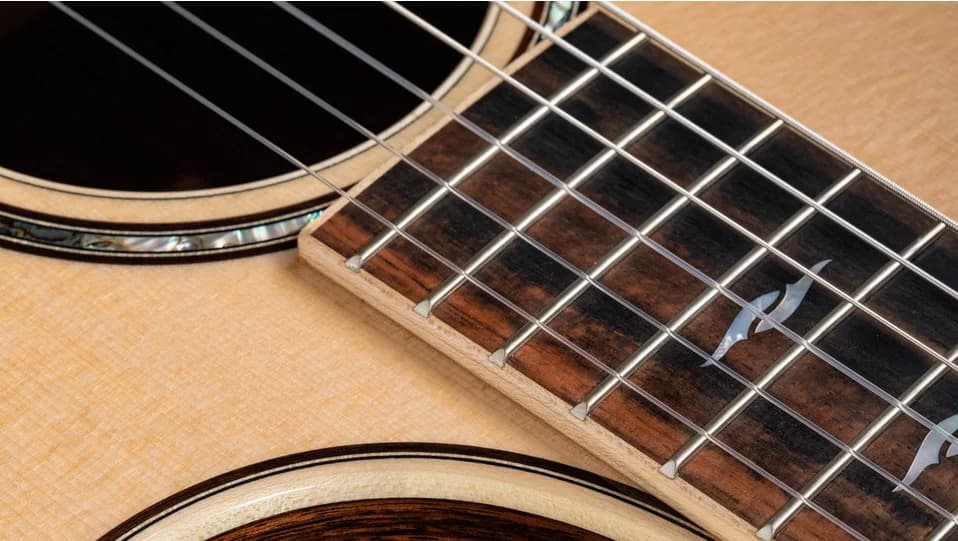 Taylor 814ce-N — photo 4
