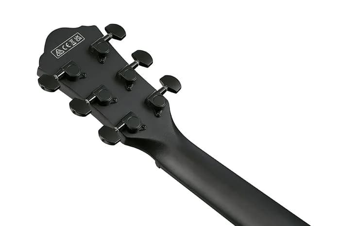 Ibanez AEWC621 — photo 2
