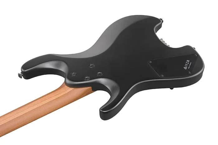 Ibanez Q54 — photo 3