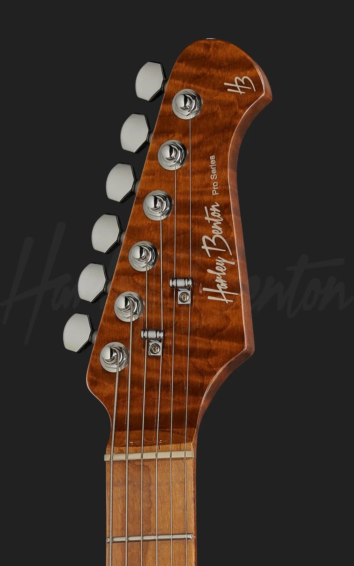 Harley Benton Fusion-III HSH Roasted FBB — photo 6