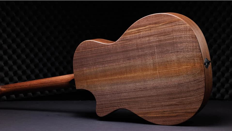Taylor 50th Anniversary AD14ce-SB LTD — photo 4