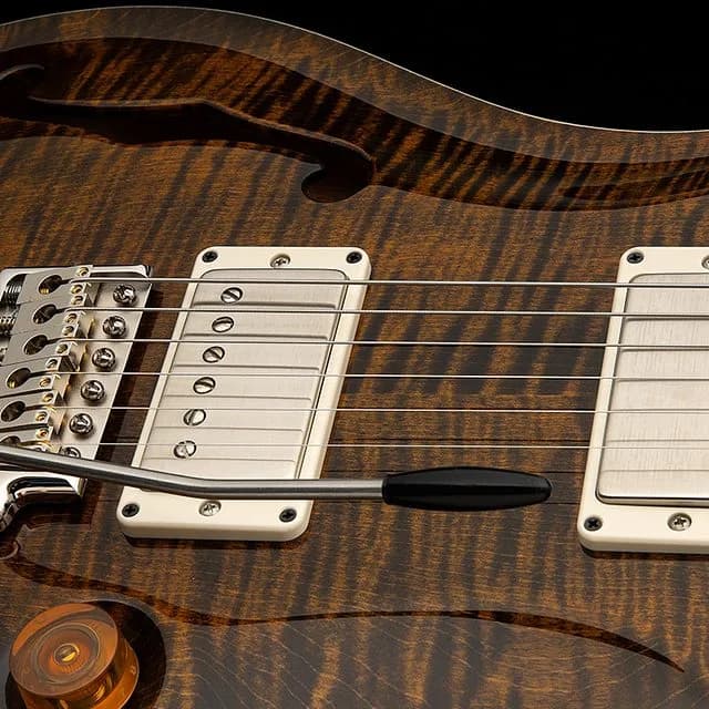 PRS DGT Semi-Hollow — photo 4