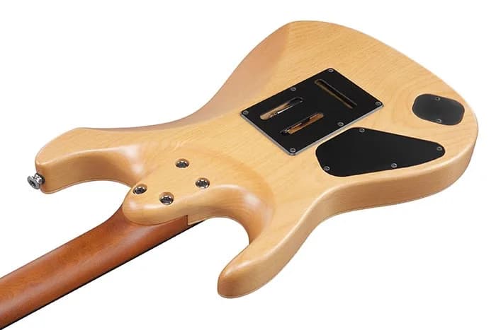 Ibanez TQM2 — photo 3