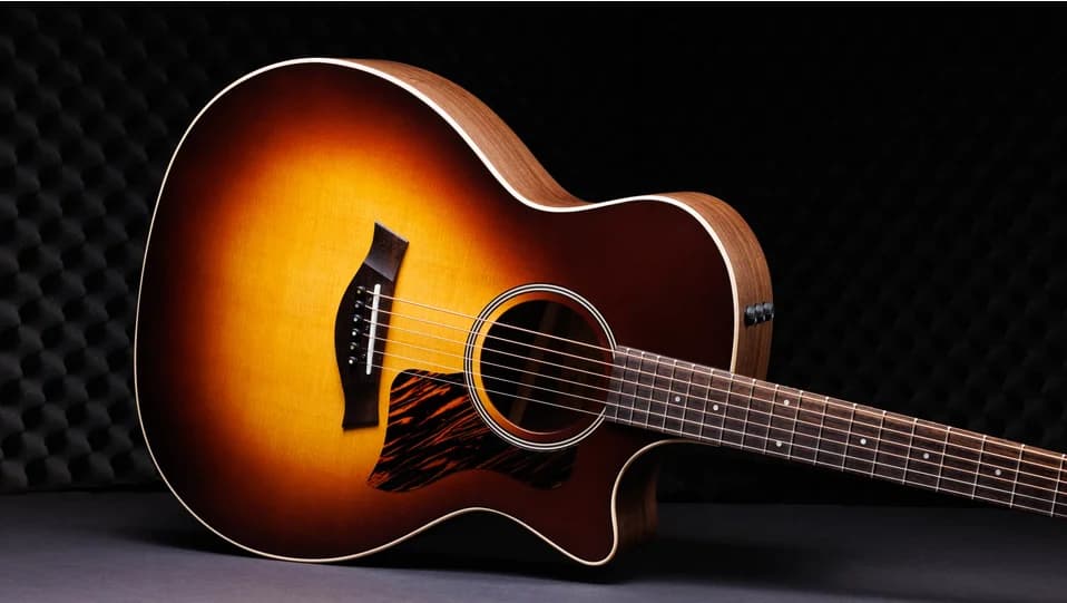 Taylor 50th Anniversary AD14ce-SB LTD — photo 3