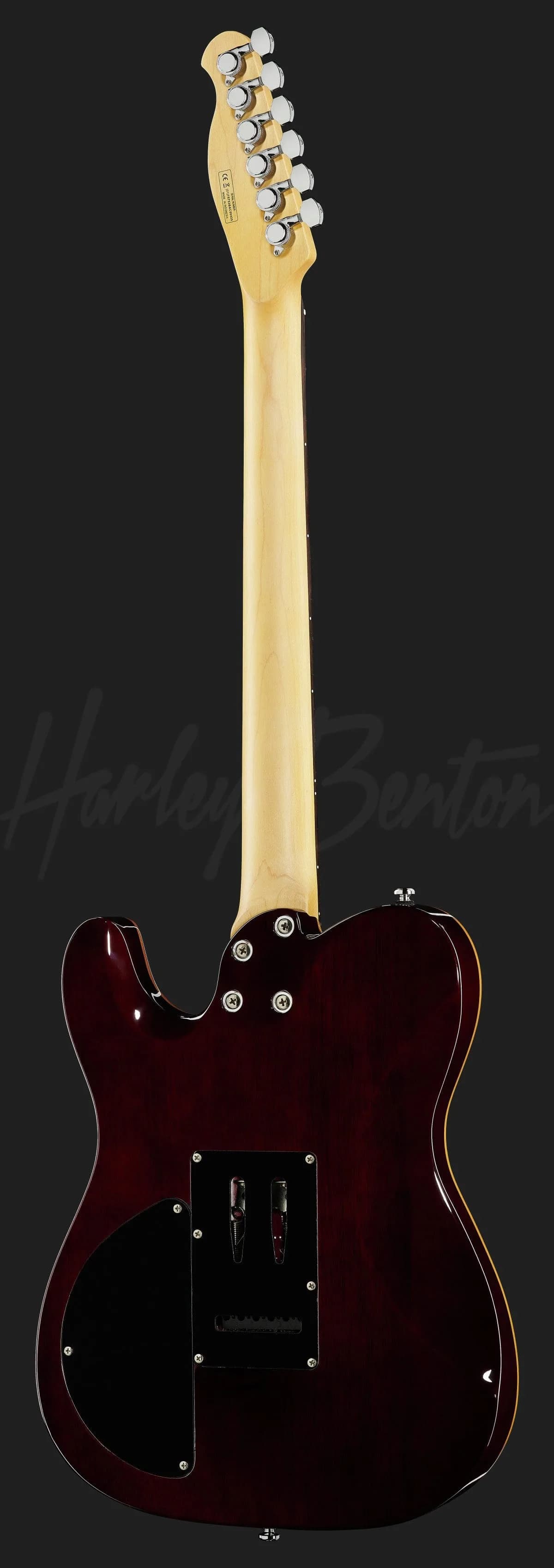 Harley Benton Fusion-T HH EB BK — photo 3