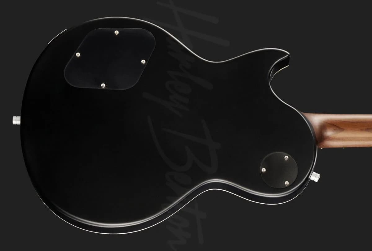 Harley Benton Agufish Standard STD BT BK — photo 5