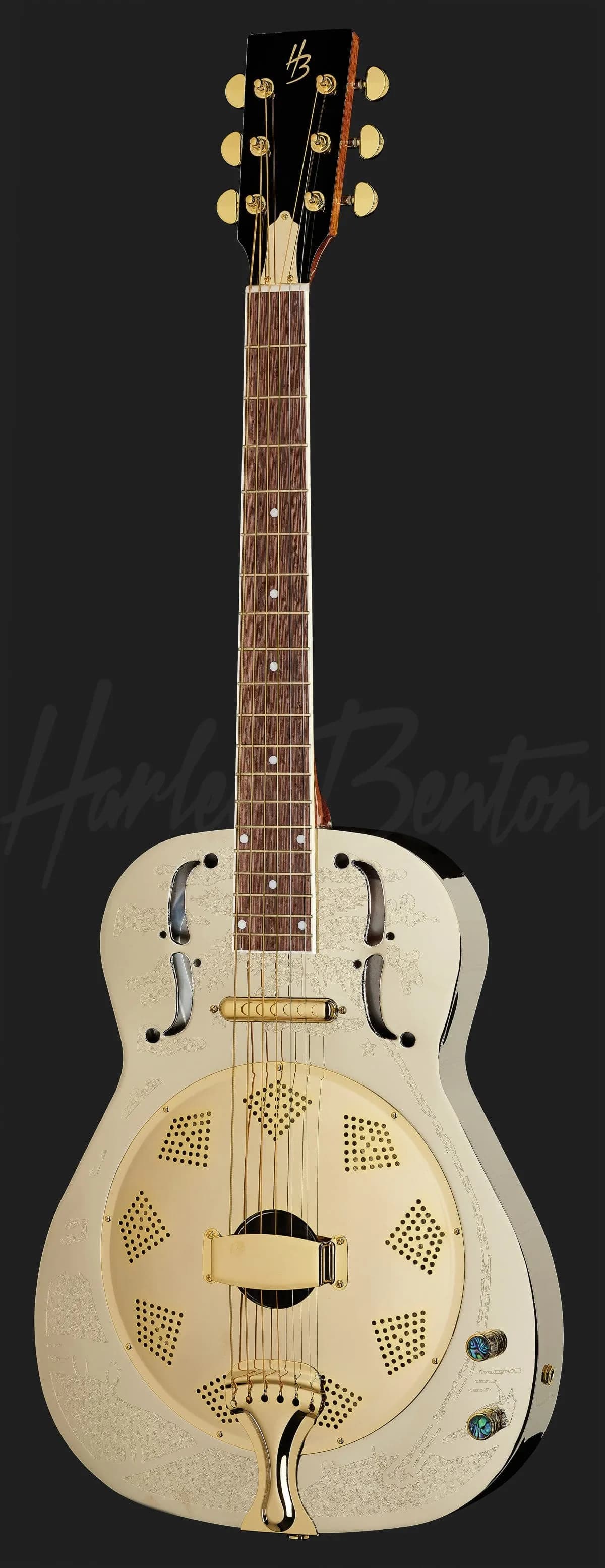 Harley Benton CLR-ResoElectric — photo 2