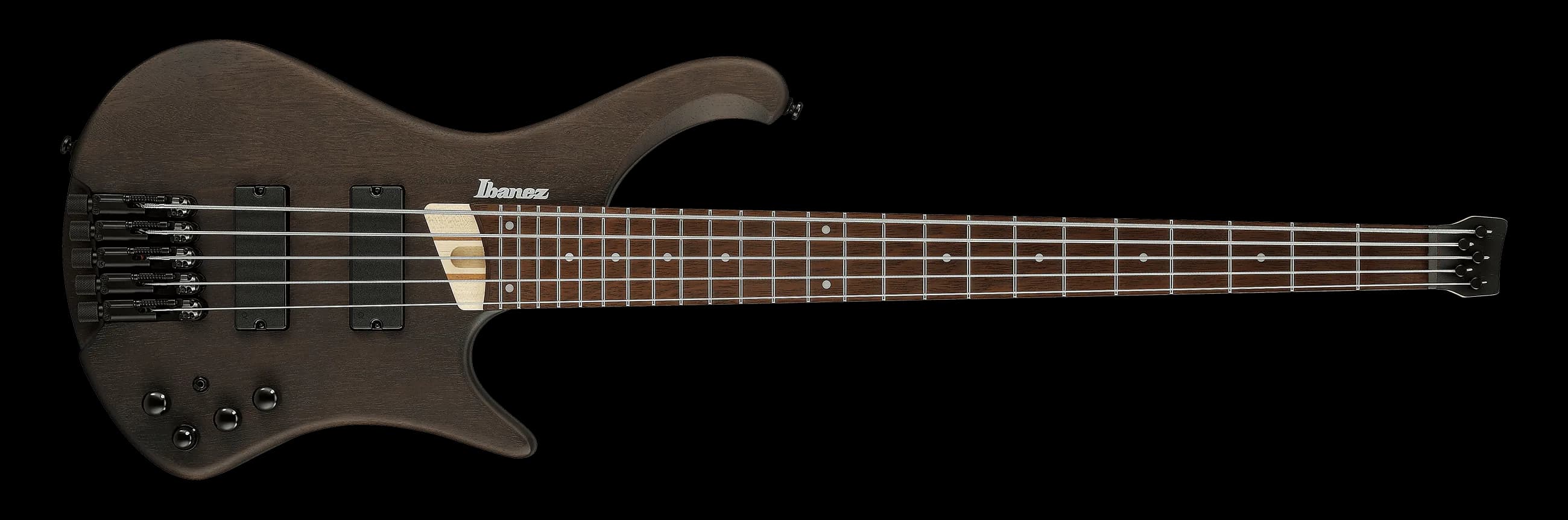 Ibanez EHB605 — photo 2