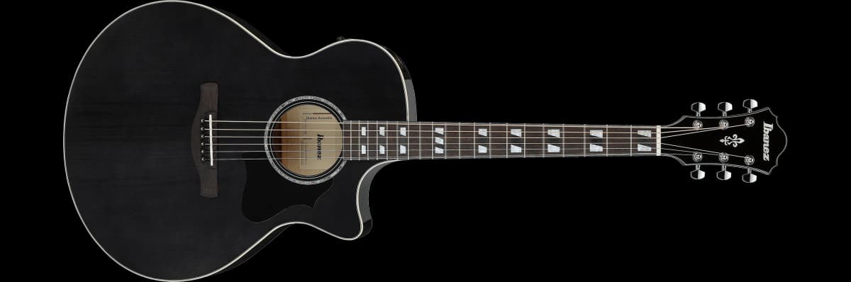 Ibanez AE170