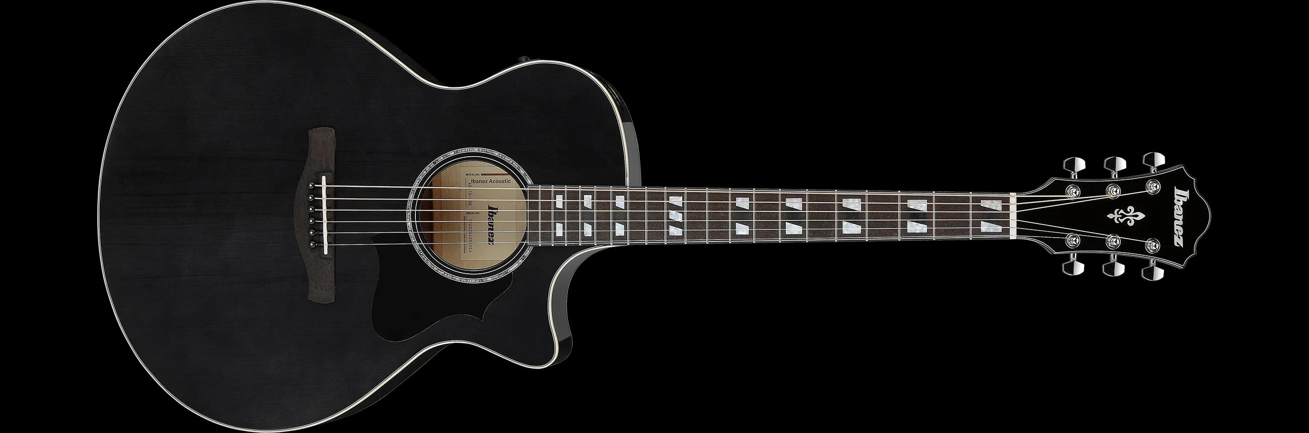 Ibanez AE170