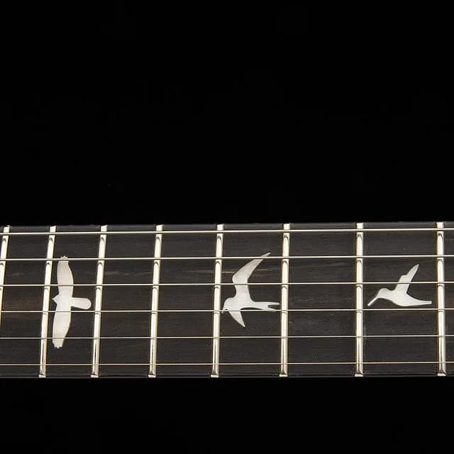 PRS SE Custom 24 "Floyd" — photo 6