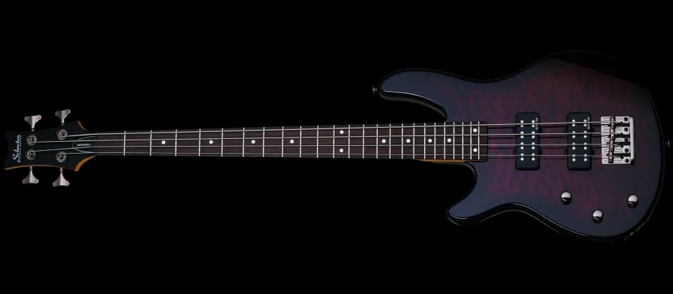 Schecter Raiden Special-4 LH
