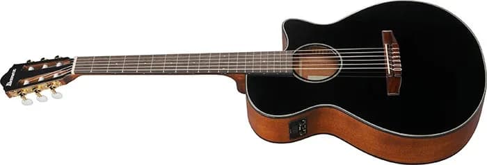 Ibanez AEG50N — photo 7