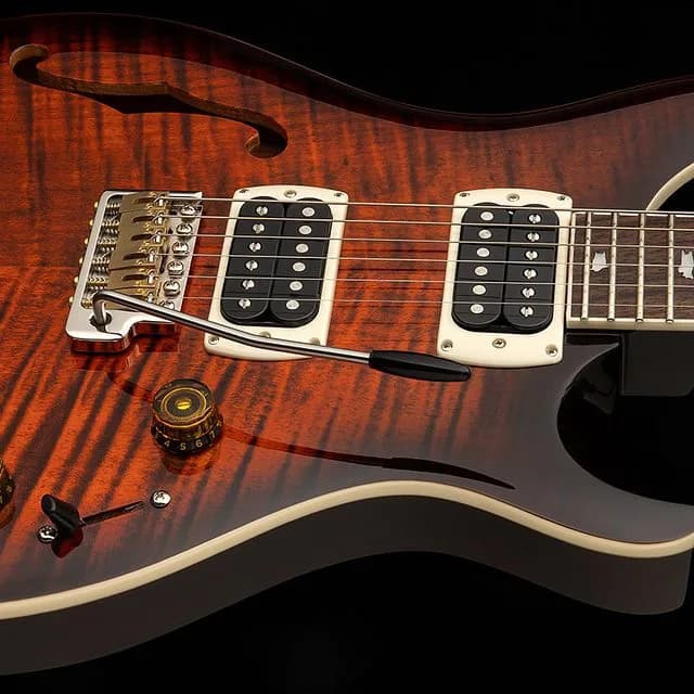 PRS SE Custom 24 Semi-Hollow Piezo — photo 2