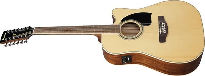 Ibanez PF1512ECE — photo 4