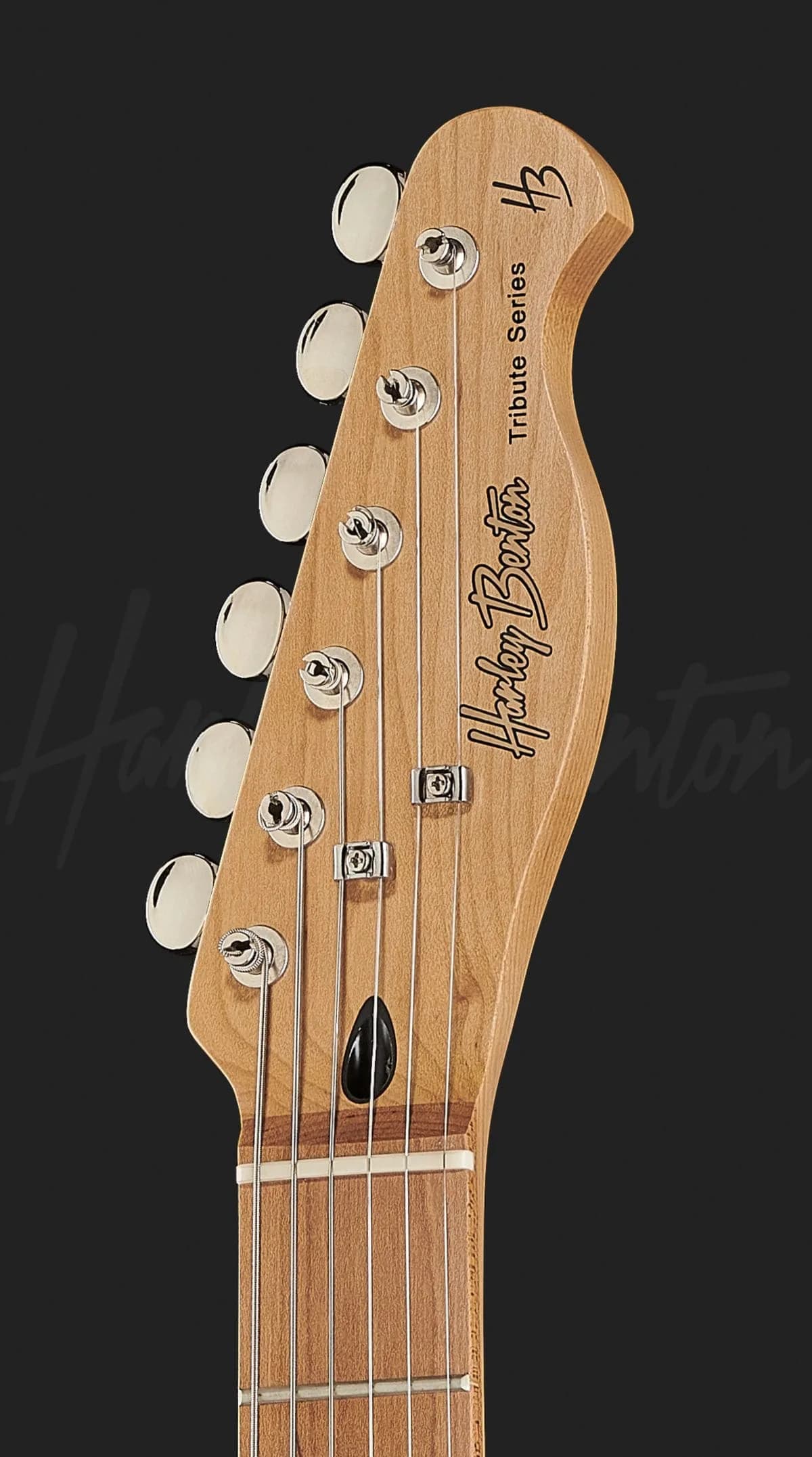 Harley Benton TE-53KR BL — photo 6