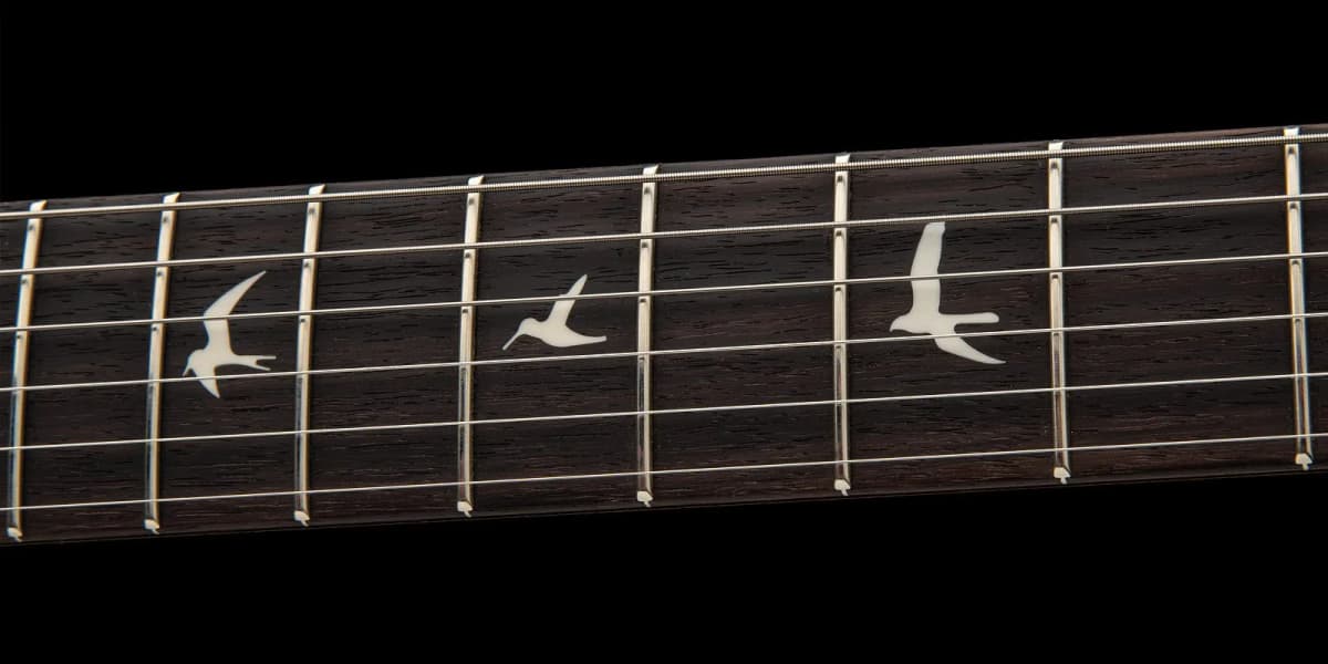 PRS "Dead Spec" Silver Sky — photo 4