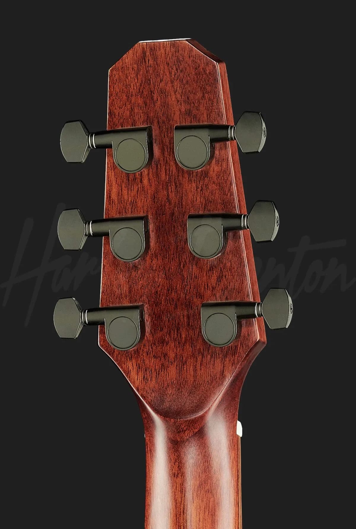 Harley Benton Custom Line CLGS-10S Travel — photo 7