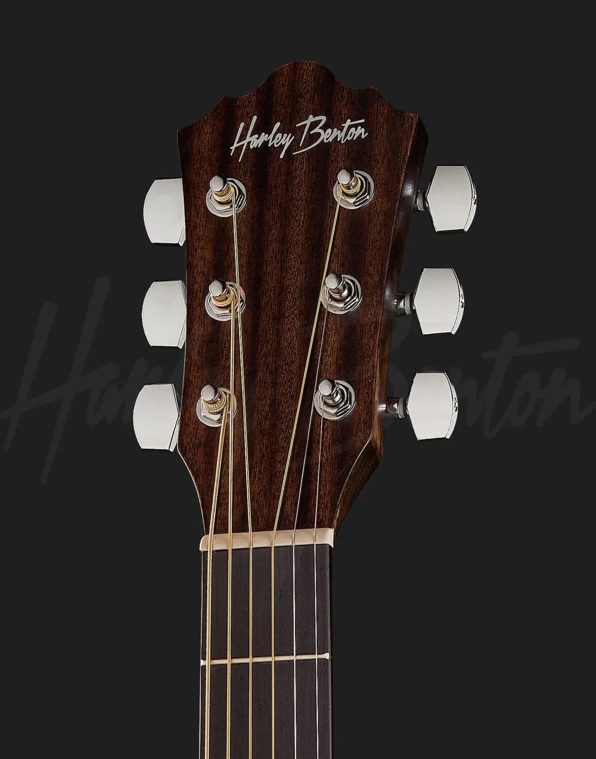 Harley Benton Delta Blues MJCE — photo 6