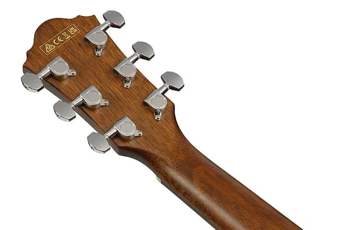 Ibanez AEG50 — photo 5